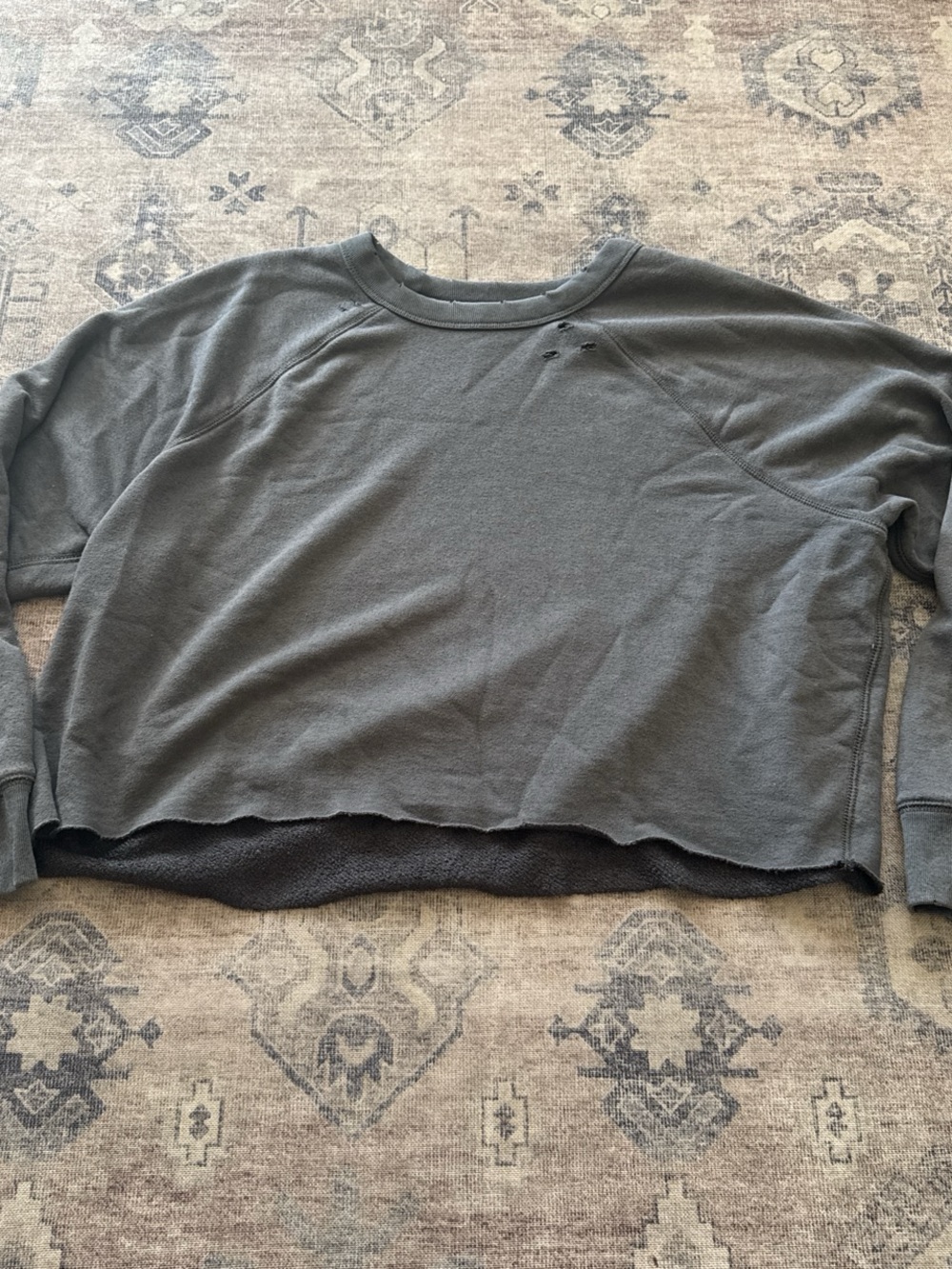 aerie Washed Gray Cropped Crewneck Sweatshirt